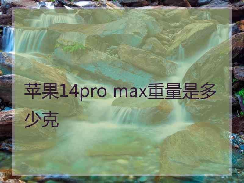 苹果14pro max重量是多少克