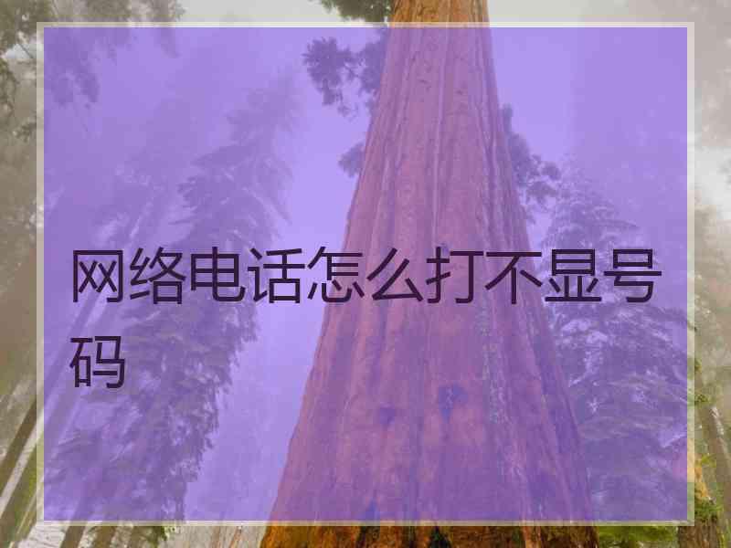 网络电话怎么打不显号码