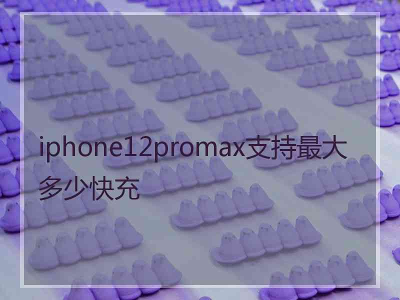 iphone12promax支持最大多少快充