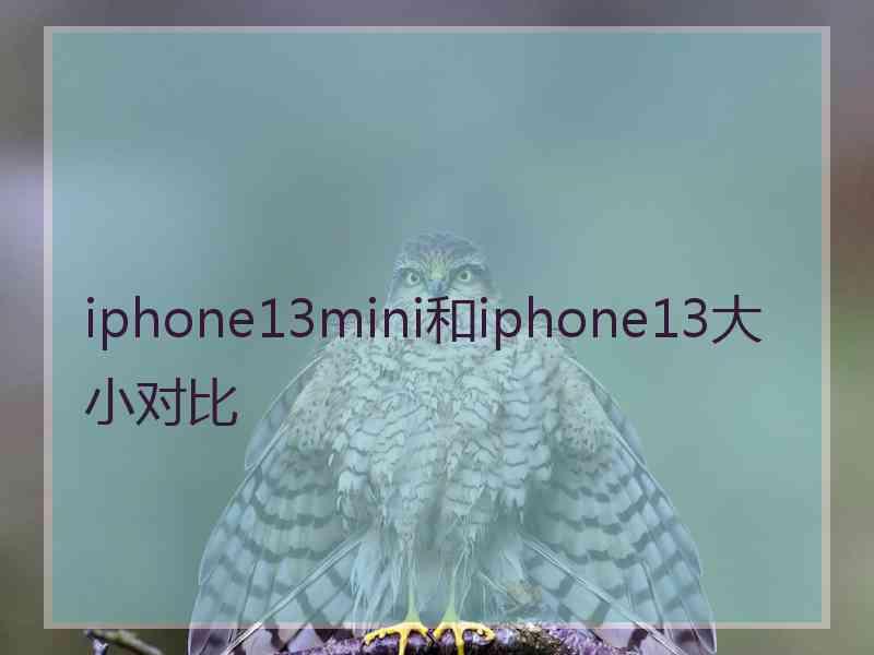 iphone13mini和iphone13大小对比