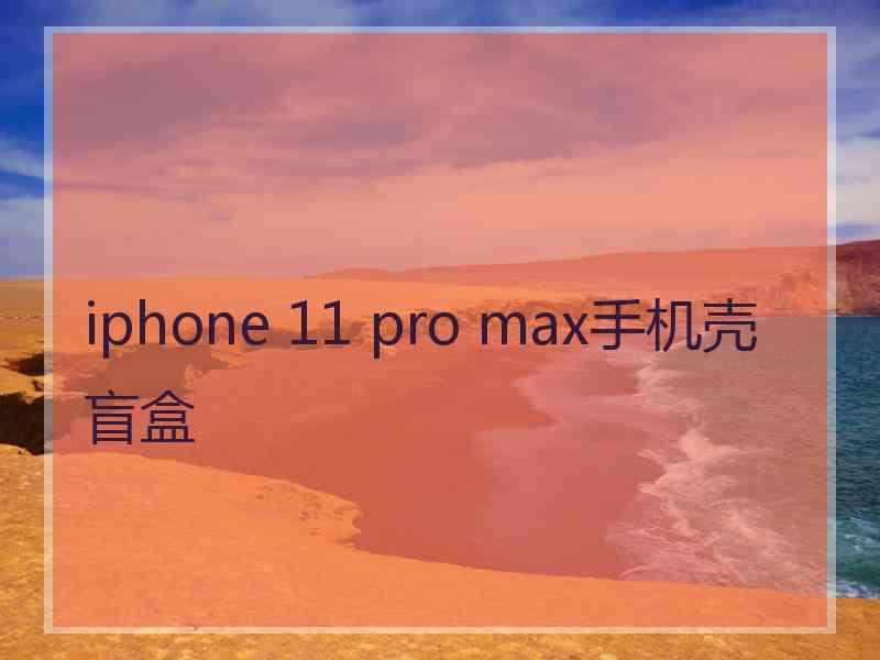 iphone 11 pro max手机壳盲盒