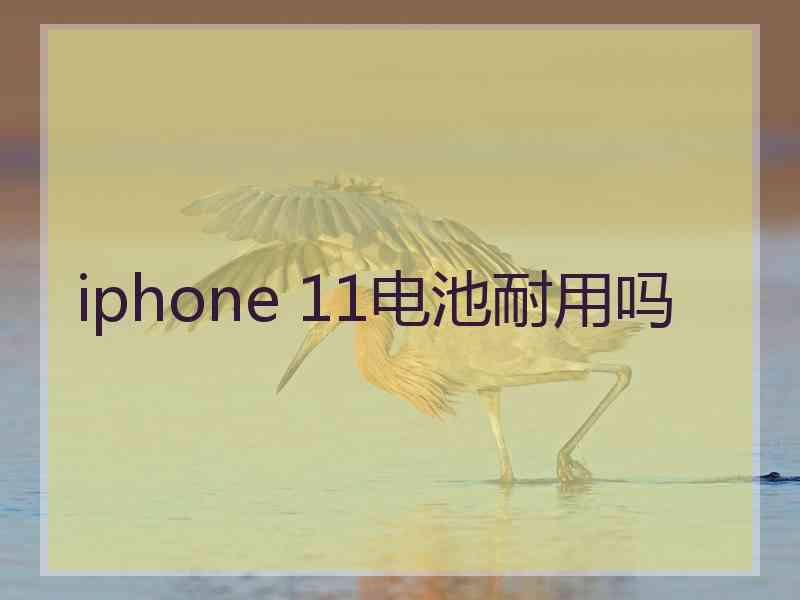 iphone 11电池耐用吗