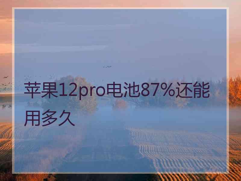 苹果12pro电池87%还能用多久