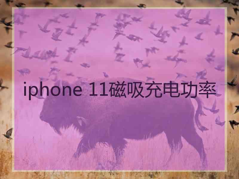 iphone 11磁吸充电功率