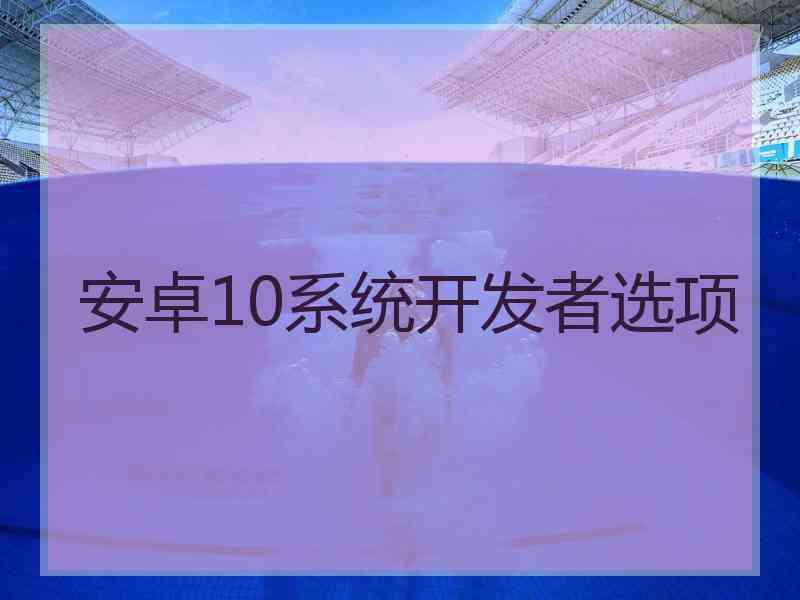 安卓10系统开发者选项