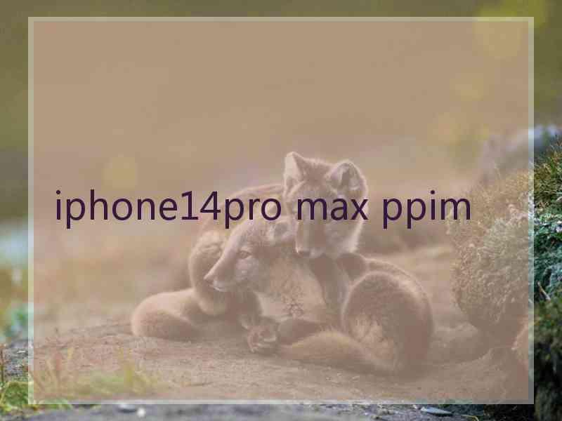 iphone14pro max ppim