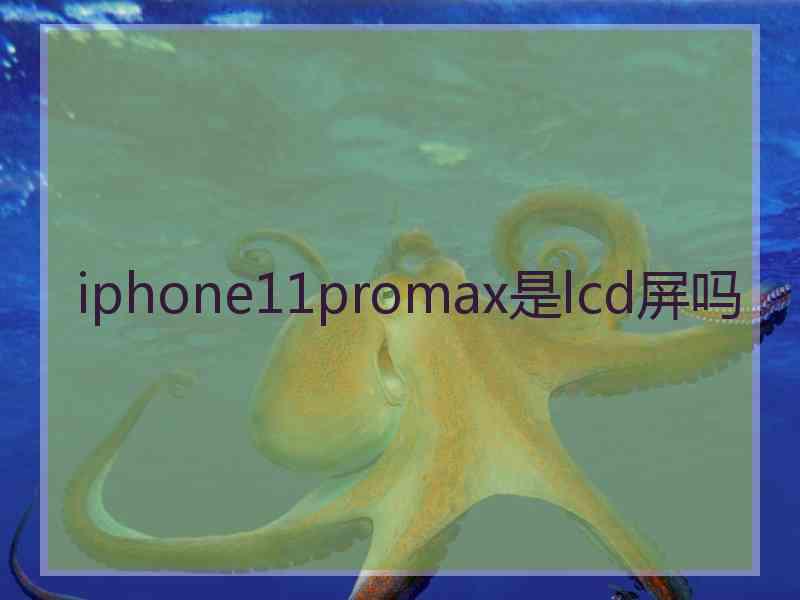 iphone11promax是lcd屏吗