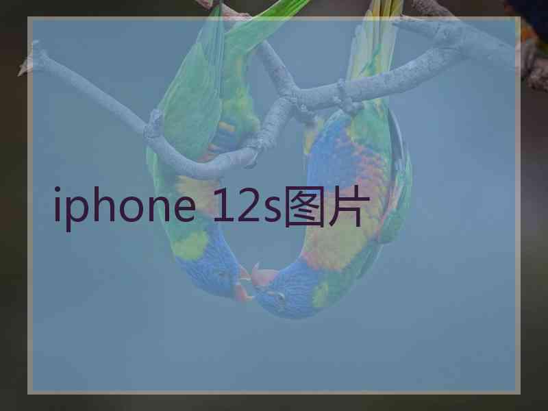 iphone 12s图片