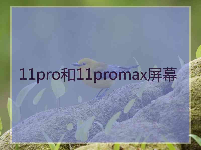 11pro和11promax屏幕