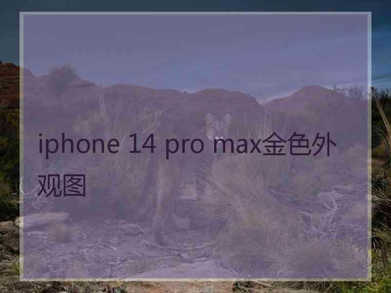 iphone 14 pro max金色外观图