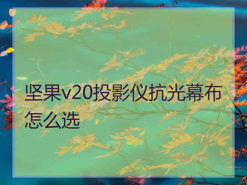 坚果v20投影仪抗光幕布怎么选