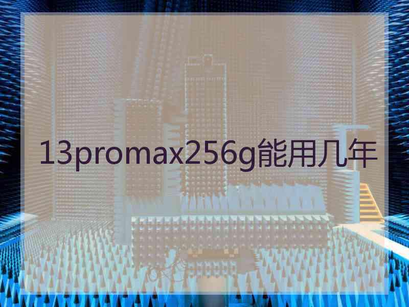 13promax256g能用几年