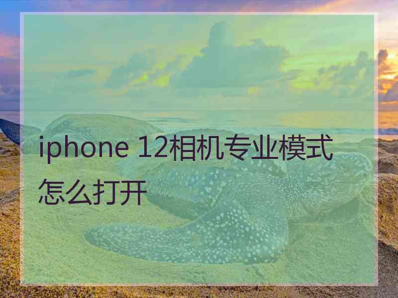 iphone 12相机专业模式怎么打开