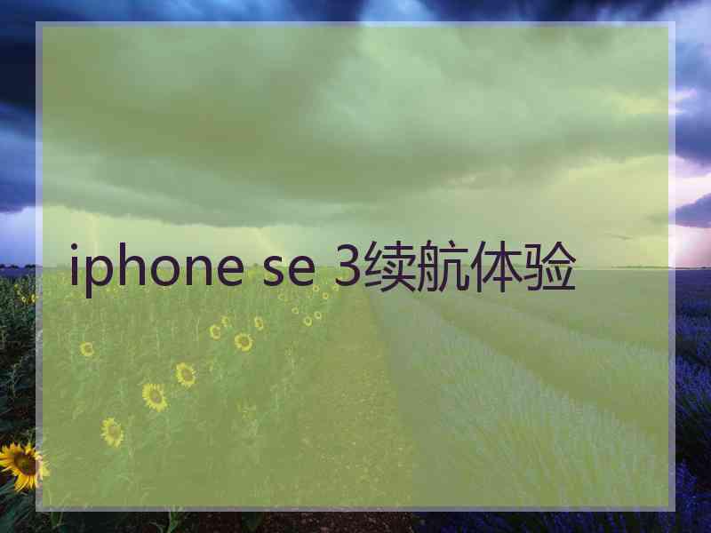 iphone se 3续航体验