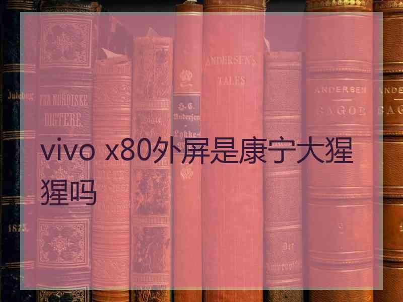 vivo x80外屏是康宁大猩猩吗