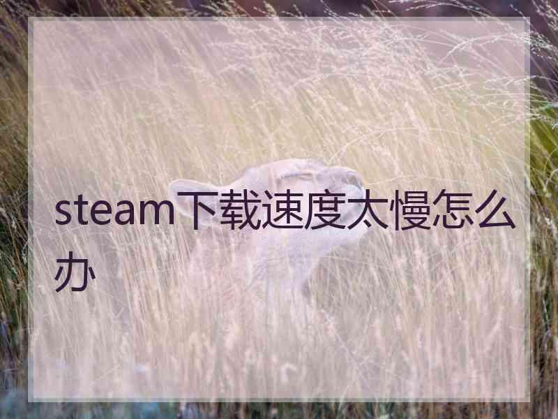 steam下载速度太慢怎么办