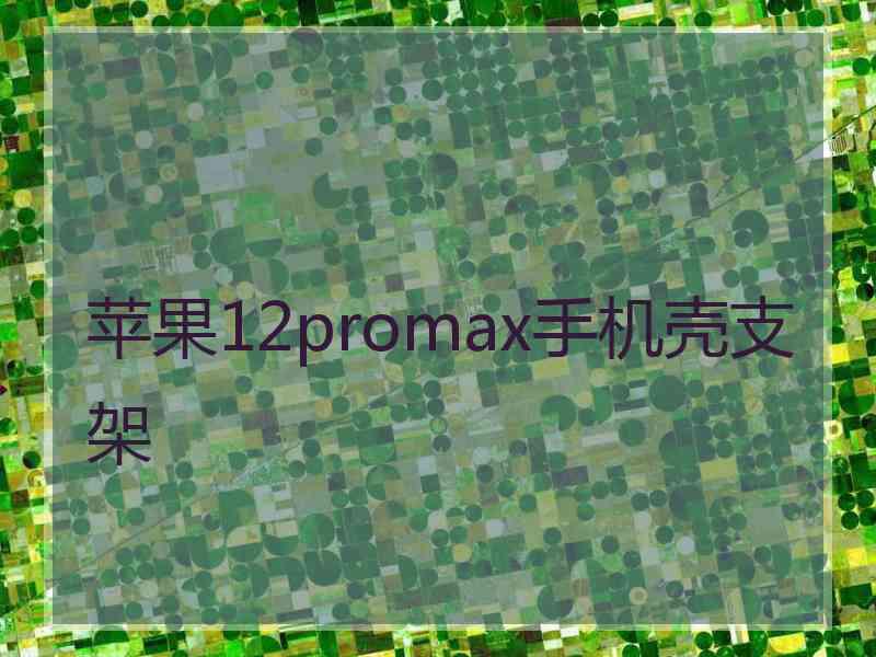 苹果12promax手机壳支架