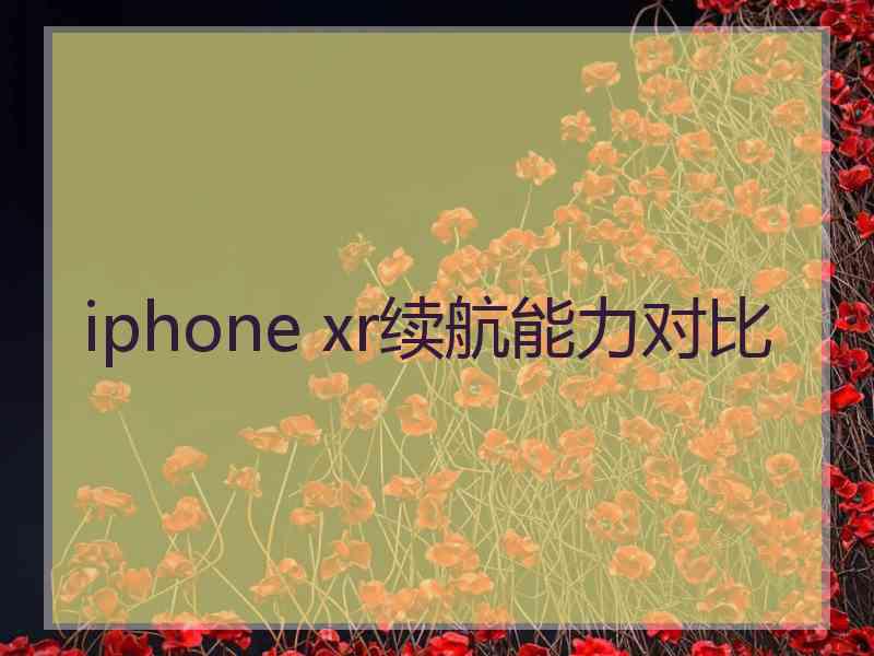 iphone xr续航能力对比