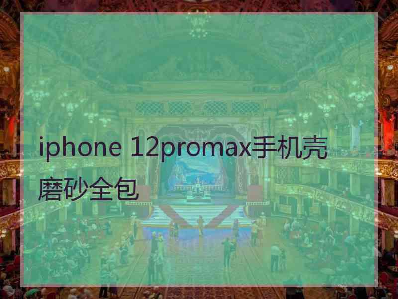 iphone 12promax手机壳磨砂全包