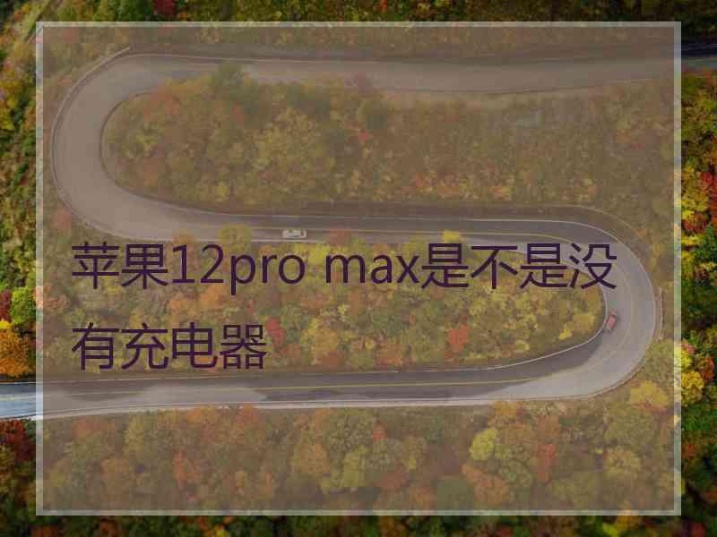 苹果12pro max是不是没有充电器