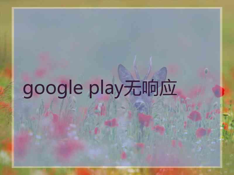 google play无响应