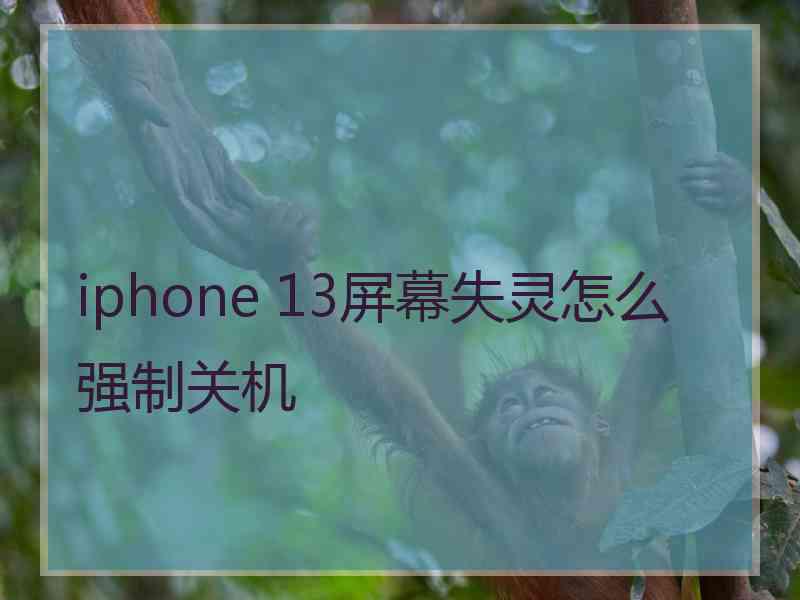 iphone 13屏幕失灵怎么强制关机