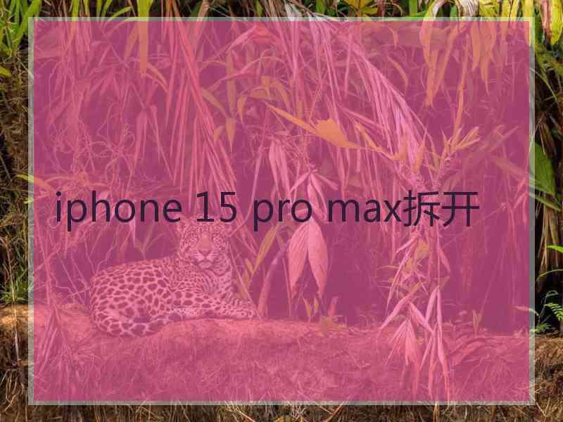 iphone 15 pro max拆开