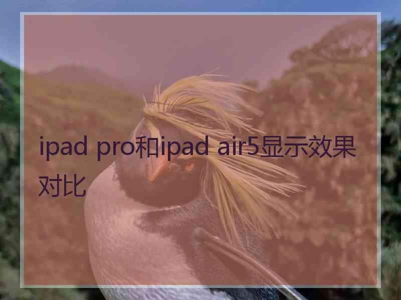 ipad pro和ipad air5显示效果对比