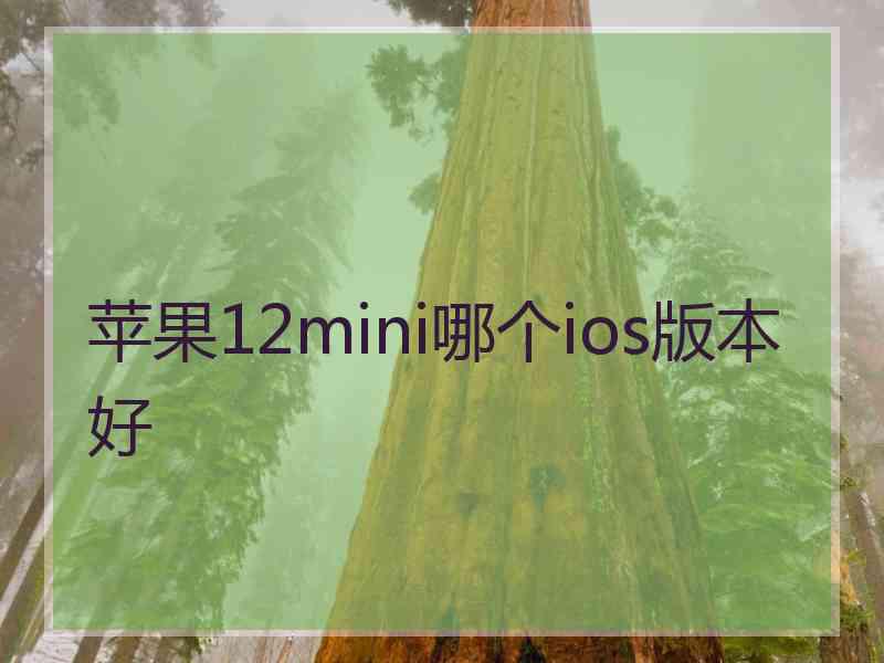 苹果12mini哪个ios版本好