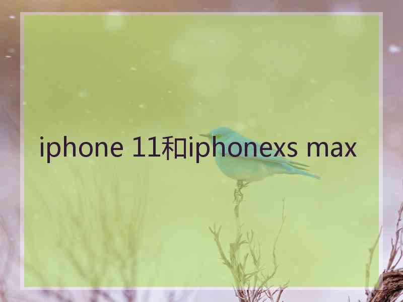 iphone 11和iphonexs max