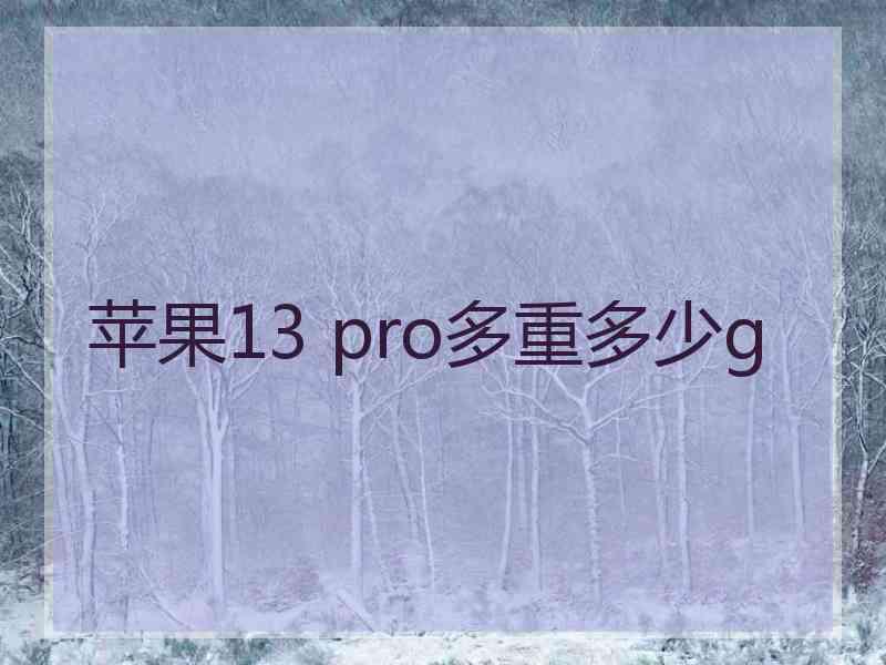 苹果13 pro多重多少g