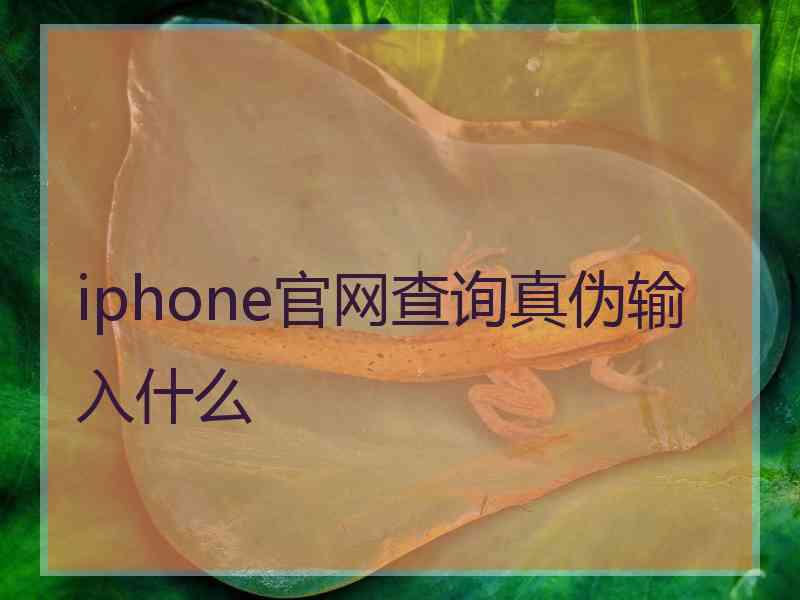 iphone官网查询真伪输入什么