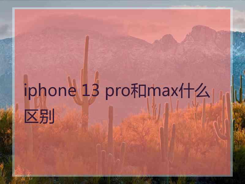 iphone 13 pro和max什么区别