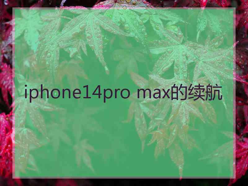 iphone14pro max的续航