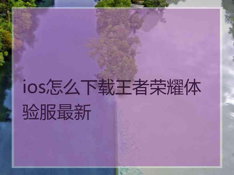 ios怎么下载王者荣耀体验服最新