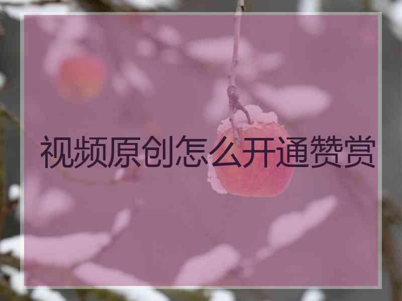 视频原创怎么开通赞赏