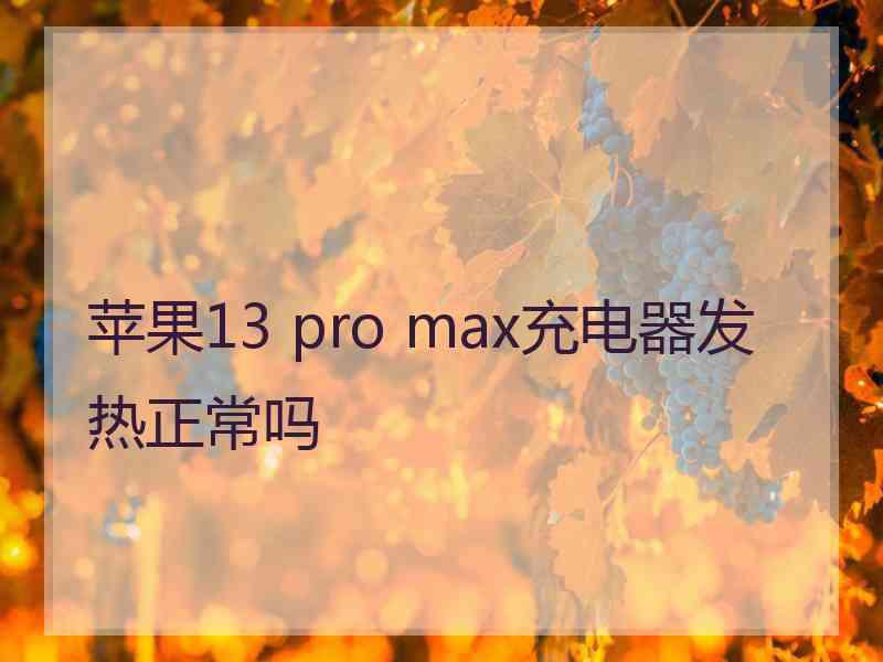 苹果13 pro max充电器发热正常吗