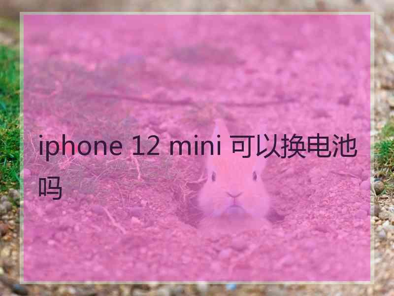 iphone 12 mini 可以换电池吗