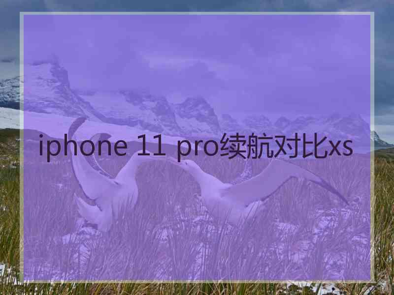 iphone 11 pro续航对比xs