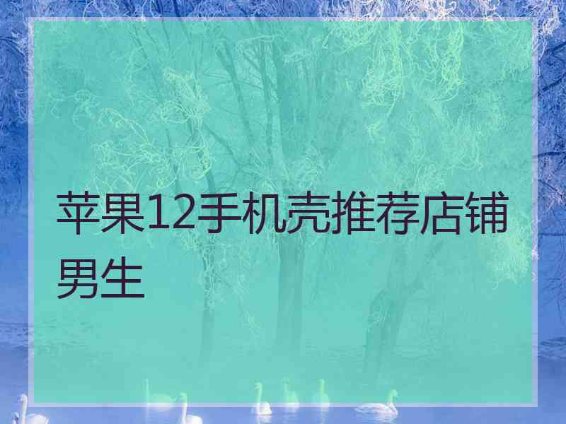 苹果12手机壳推荐店铺男生