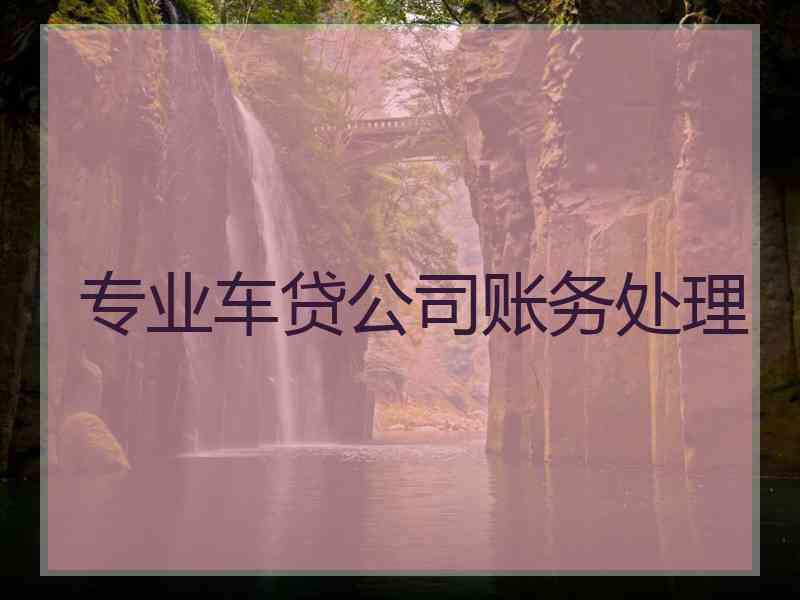 专业车贷公司账务处理