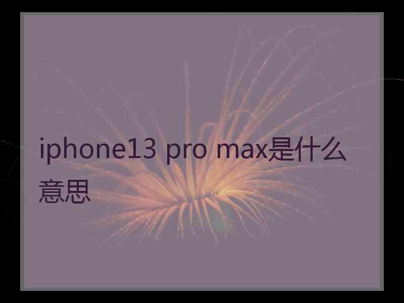 iphone13 pro max是什么意思