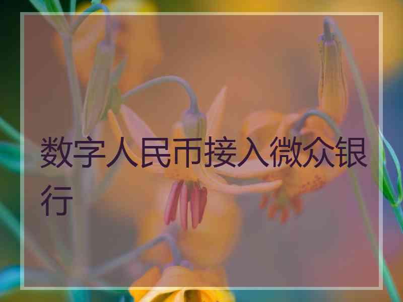 数字人民币接入微众银行