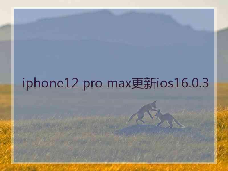 iphone12 pro max更新ios16.0.3