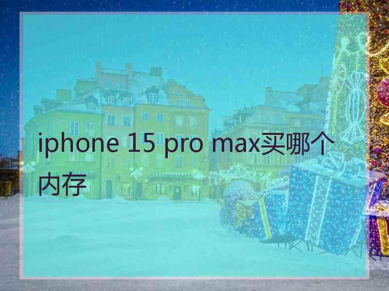 iphone 15 pro max买哪个内存