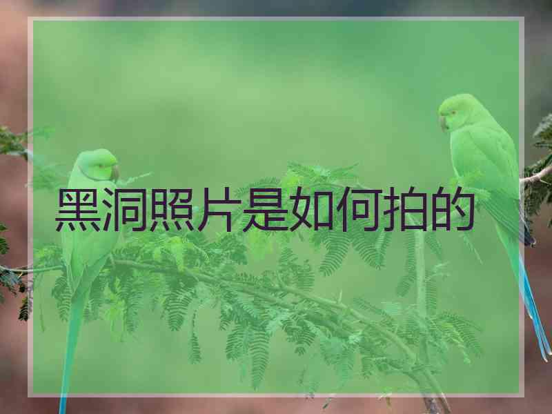 黑洞照片是如何拍的