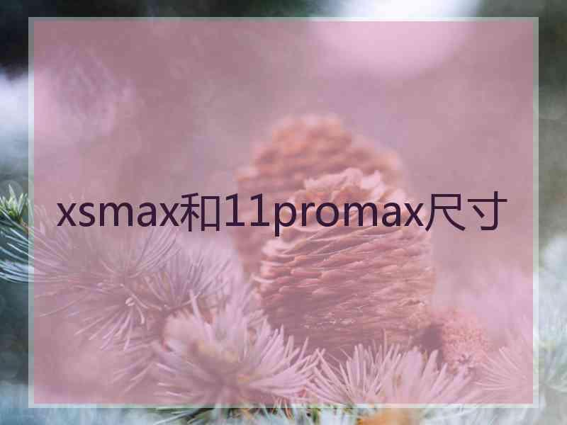 xsmax和11promax尺寸