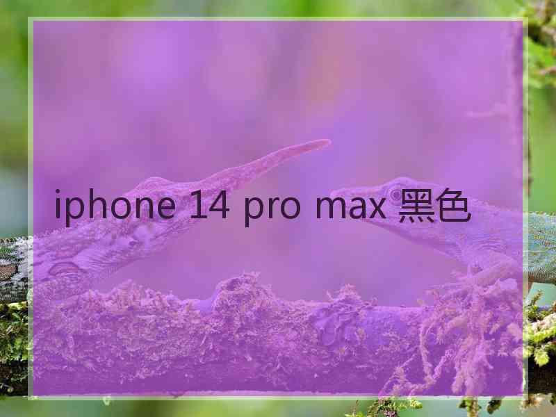 iphone 14 pro max 黑色