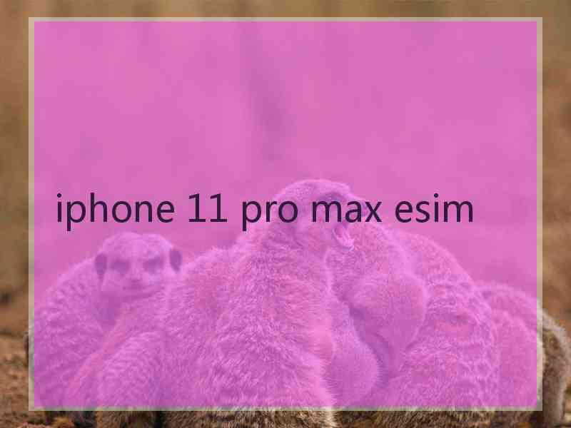 iphone 11 pro max esim