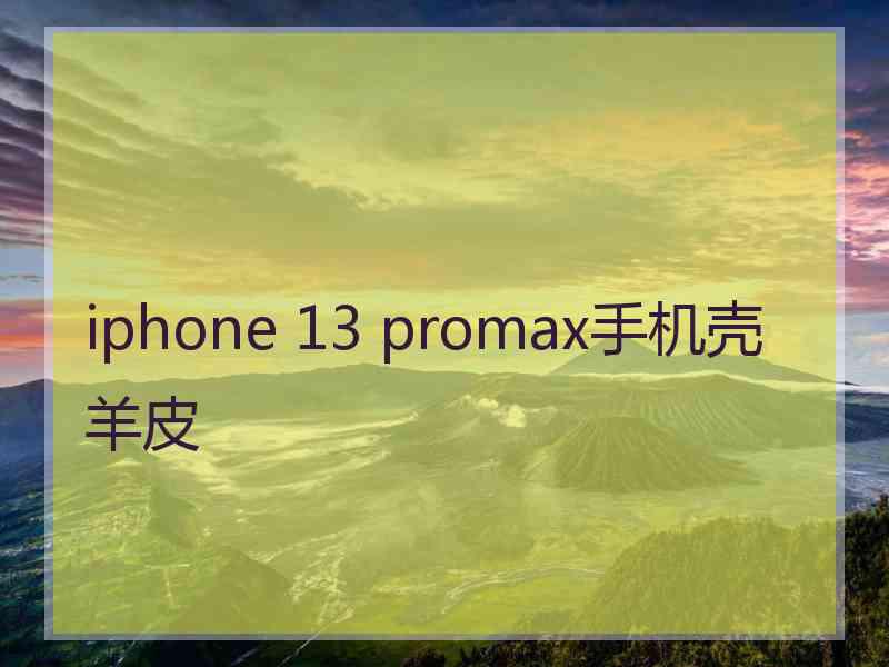 iphone 13 promax手机壳羊皮